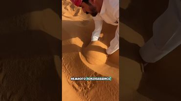 Очень редкое животное в пустыне 😮