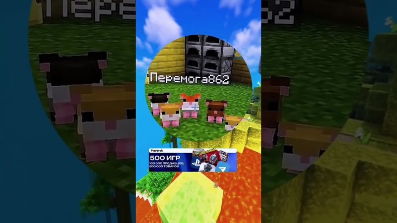 #мемы #кружки #рекомендации