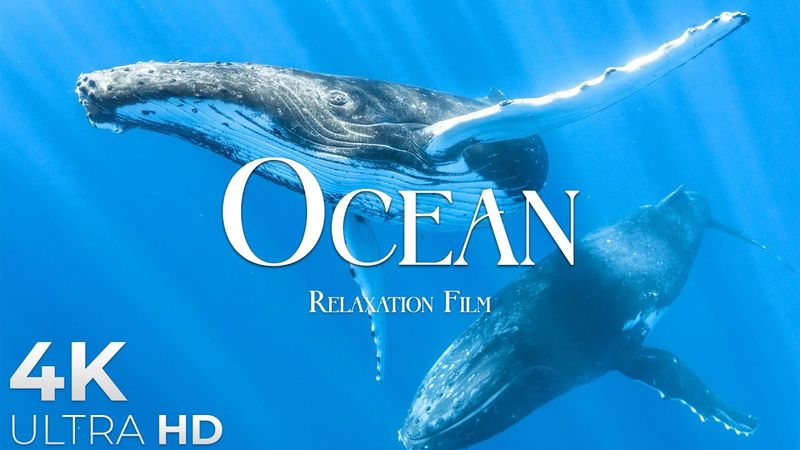 The Ocean (4K UltraHD)- Relaxation Film - Peaceful Relaxing Music - 4k Video UltraHD