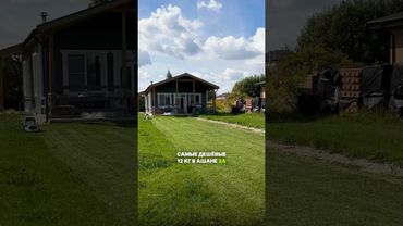 Я посадил газон своими руками из самых дешевых семечек #загородныйдом #газон