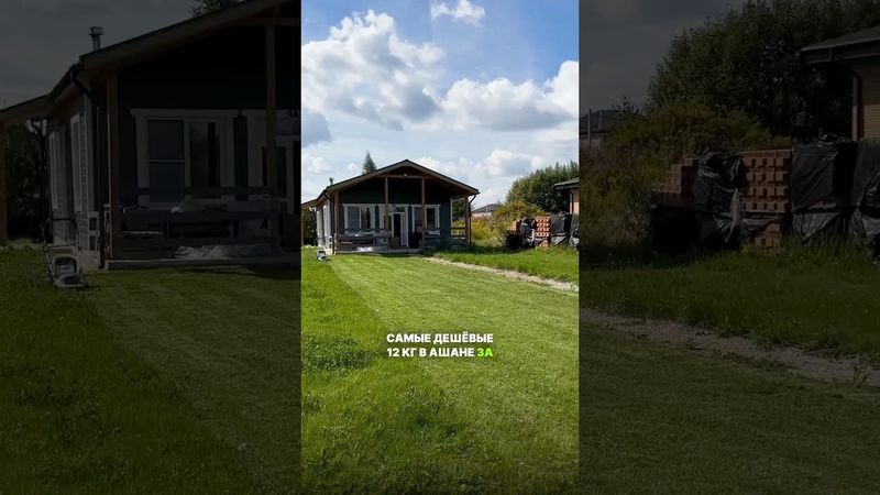 Я посадил газон своими руками из самых дешевых семечек #загородныйдом #газон