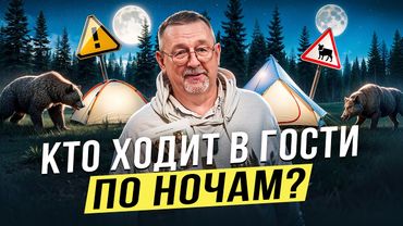 Как не привлечь дикого зверя в лагерь? Михаил Кречмар