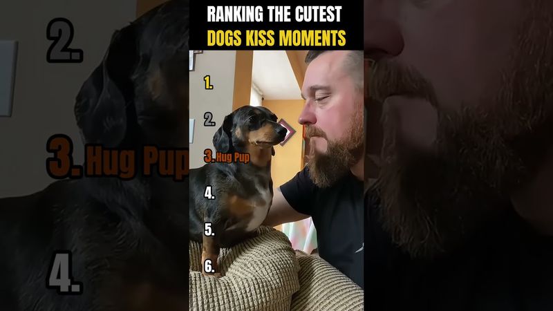 RANKING THE CUTEST DOGS KISS MOMENTS 🐶💋 | Heart Melting!