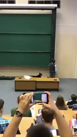 Дело было в 2017 #мгтуимбаумана