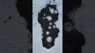 Алтай. Горная река бегущая из Чендекского ущелья.