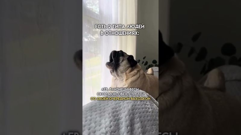 #овен #телец #близнецы #рак #лев #дева #весы #скорпион #стрелец #козерог #водолей #рыбы