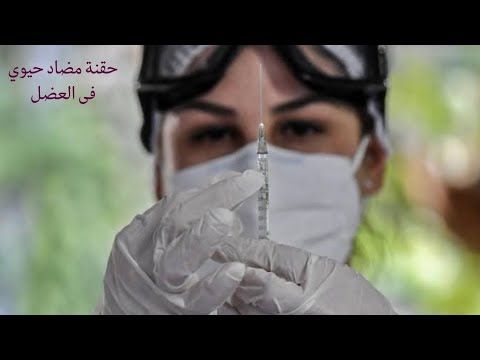 حقنة عضل في الصيدلية 😊 بنت حلوة بتاخد حقنة مضاد حيوي ١ جرام في العضل