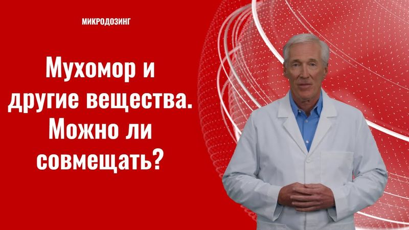 Мухомор и другие вещества. Можно ли совмещать?