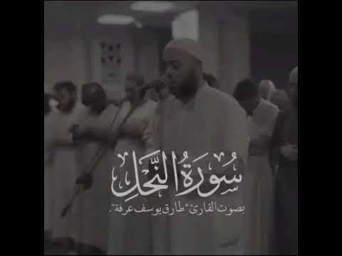 سورة النحل كاملة من صلاة القيام ١٤٤٤ طارق يوسف عرفة