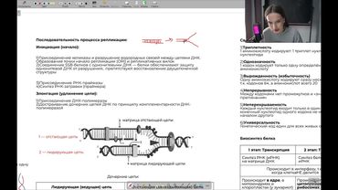 Реанимация. День 7 | тгк: biowithbear