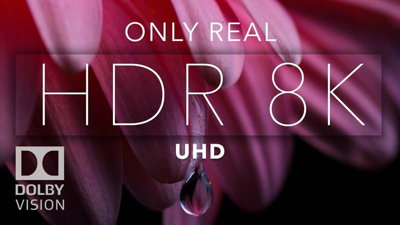 8K HDR Bright Color Dolby Vision