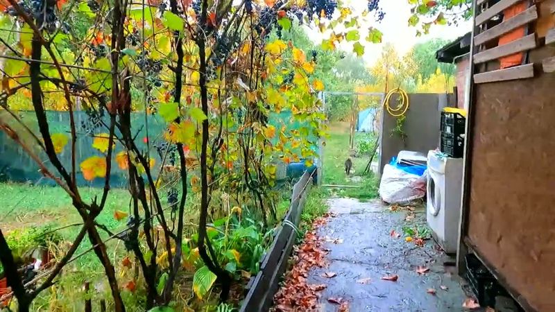 #Slavyansk. 9 ottobre 2025. Sera. Un altro bombardamento della città...