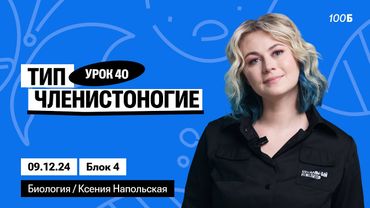 Тип Членистоногие | Биофак 2025 | Урок 40