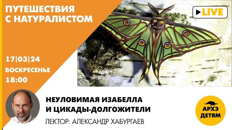 Занятие "Неуловимая Изабелла и цикады-долгожители" рубрики "Путешествия с натуралистом"