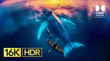 The Best Dolby Vision 16K HDR 120fps (8K Video ULTRA HD)