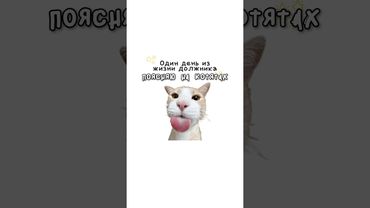 Один день из жизни должника