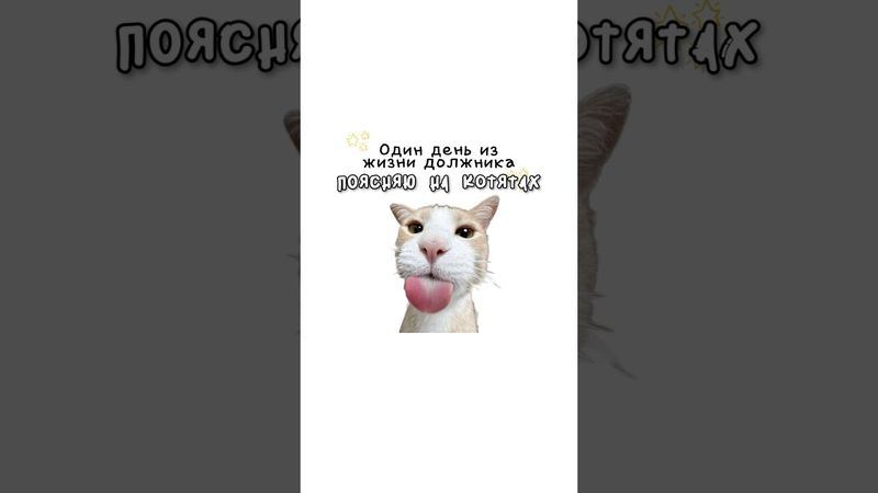 Один день из жизни должника