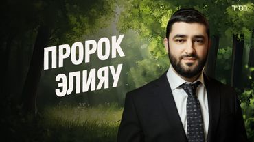 Как ПРОРОК ЭЛИЯУ помогает еврейскому народу? Элияhу а-нави | Рав Исраэль Якобов