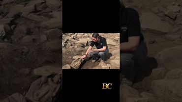 Archeologi amatoriali scoprono una dea alata nel Vallo di Adriano