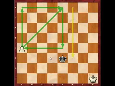 28. آموزش آخربازی شطرنج ( ترم چهارم - قسمت 3)