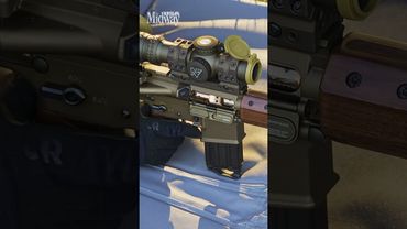 One With Nature 🌲/ Woox Vigilante