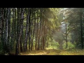 Главное о спасении. Живая вера. Ложь и Истина. Святитель Игнатий Брянчанинов.