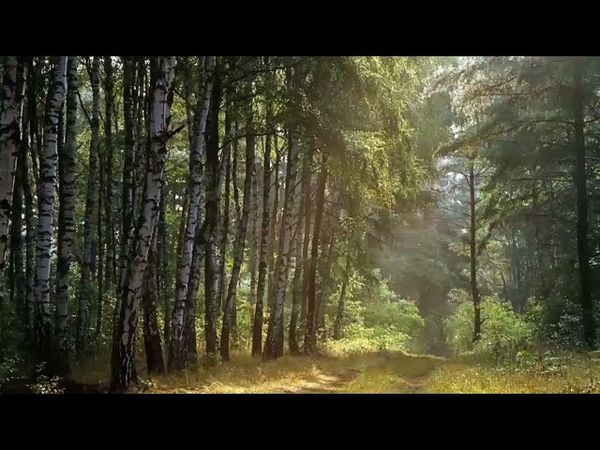 Главное о спасении. Живая вера. Ложь и Истина. Святитель Игнатий Брянчанинов.