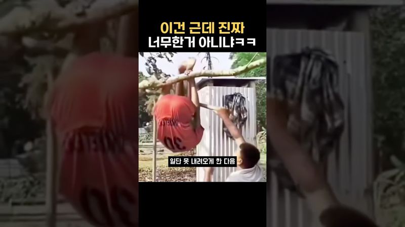 Tapi bukankah ini terlalu berlebihan?