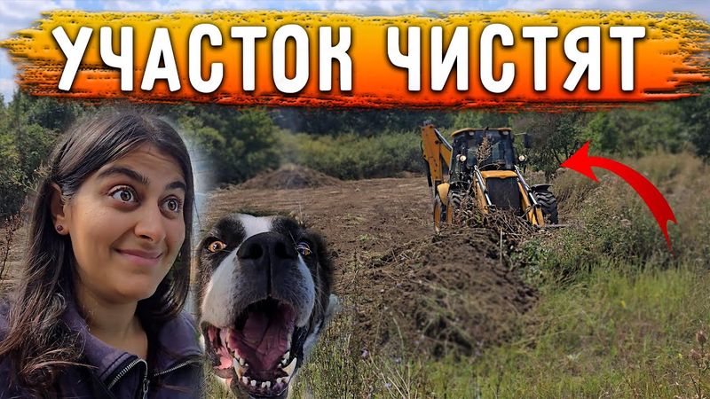 Приехал трактор - петушок и зачистил участок. Нукер пошел проверять. Чиним дом, Вакцинация Санни.