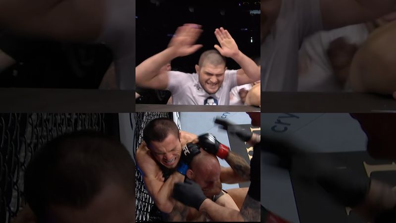 Братья Нурмагомедовы в деле 💪