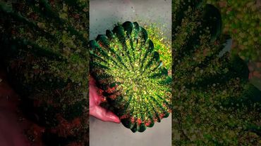 green vortex✨ #asmr #art #viralvideo