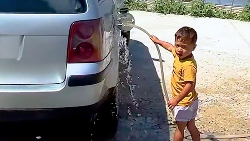 Crolli virali e caos | Il meglio della settimana