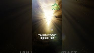 Совет дня: уныние лечится делами