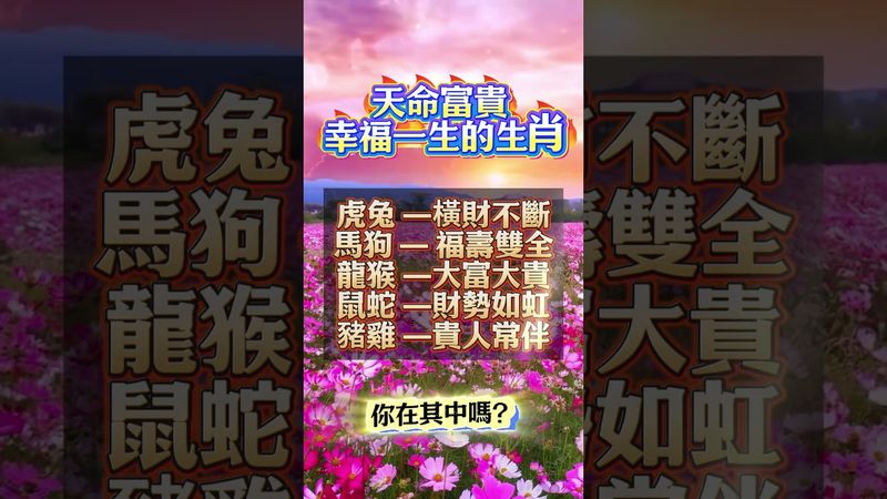 天命富貴 幸福一生的生肖，你在其中嗎？#生肖  #運勢  #玄學 #風水