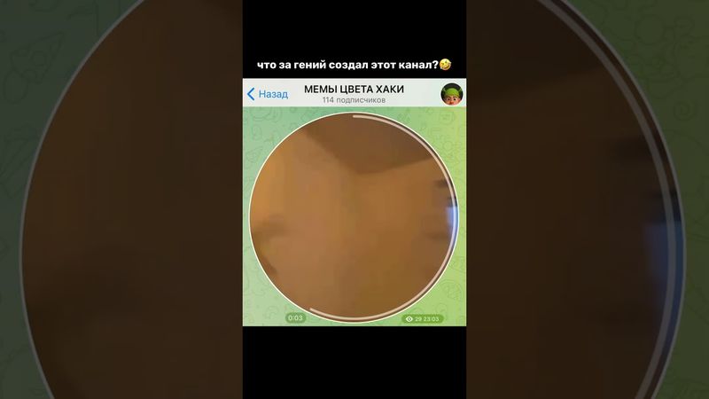 Тгк: hakimeme #мемы #прикол #кружок #мем #приколы #юмор #смешно