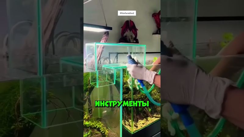 Рыбки внезапно исчезли... и появились в другом аквариуме #shorts