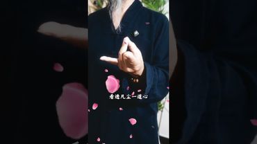 《道家桃花訣》 單身久了，想找對象那就趕緊動起來吧！#道家文化 #道家手訣 #結印手勢 #道系青年 #國學文化 #運勢 #桃花運 #正能量
