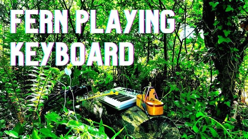 Fern Playing Keyboard
