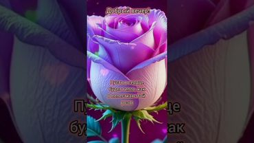 Добрый вечер хорошего вечера открытки на каждый день #открытка #добрый #видеооткрытка #добрыйвечер