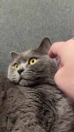 TikTok video #7564811118665829643