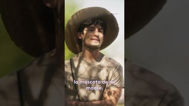 Cuando ya estás acostumbrado a tratar con víboras 🐍 #Amanecer #Uninovelas