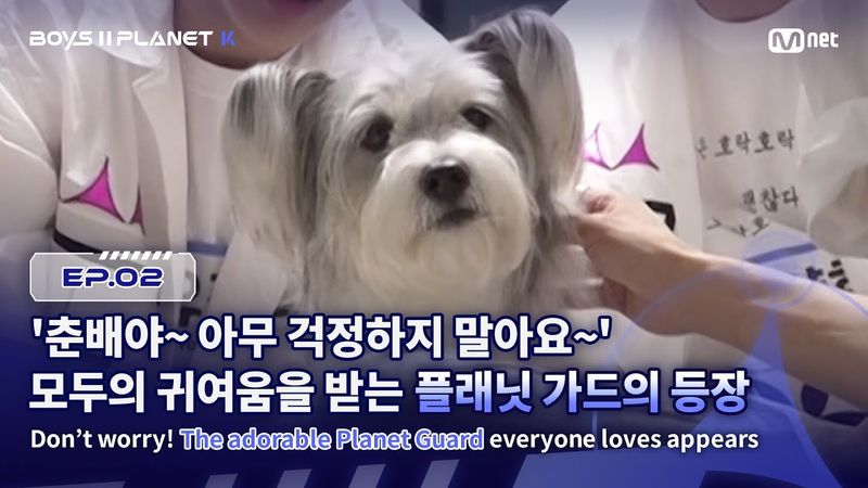 [PLANET K/2회] '춘배야~ 아무 걱정하지 말아요~' 모두의 귀여움을 받는 플래닛 가드의 등장 | Mnet 250724 방송