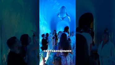 Новая локация в парке Краснодар — кроличья нора! Спасибо Сергею Николаевичу Галицкому 🙏 #краснодар