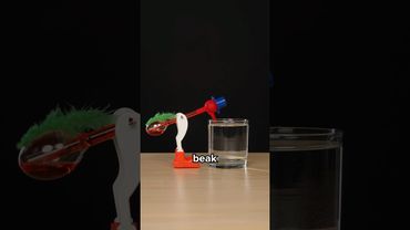 Comment fonctionne l'« oiseau buveur » ?