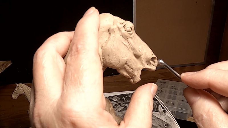 BATTLING FOR DOMINANCE   Working on the Left Side of the Neck and Horse's Head