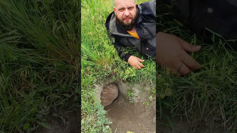 Редкое животное - заслонщик