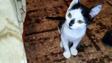 #Славянск. 4 сентября 2025г. Утро. Неспокойная ночь...