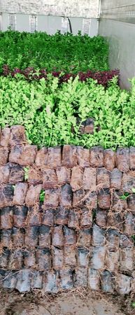 #fyp #highlight #مشتل 