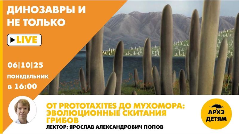 Занятие "От Prototaxites до мухомора: эволюционные скитания грибов" с Ярославом Поповым