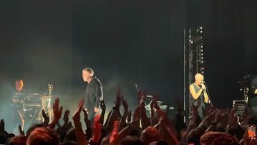 ДДТ, Волки в тире, 02.05.2025!